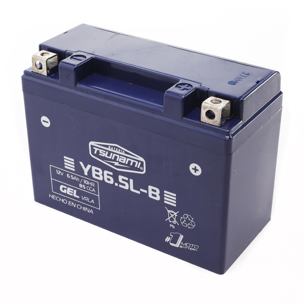 Bateria Gel Yb6.5L-A 12V-6.5Ah Axxo Ax150 Raptor150 Scrambler250 Dy200 Dy250 200Gy8 Xy200 Xy200Gy6