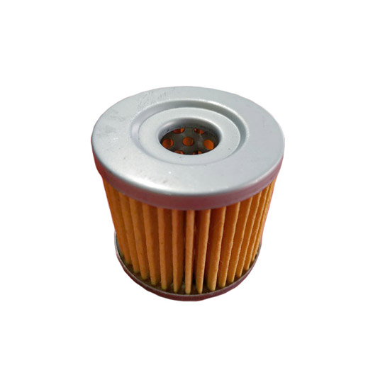 Filtro Aceite Suzuki Gn125 Gixxer Ax4 Genuino Jnlh00165