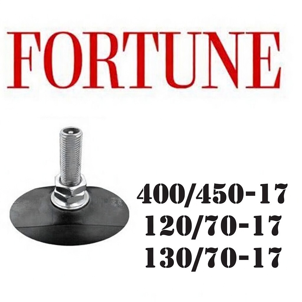 Tubo R17 400/450-17 120/70-17 130/70-17 Fortune