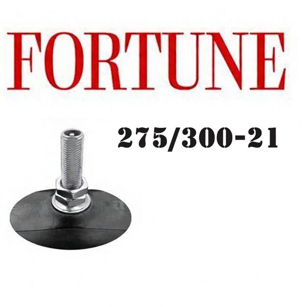 Tubo R21 275/300-21 Fortune