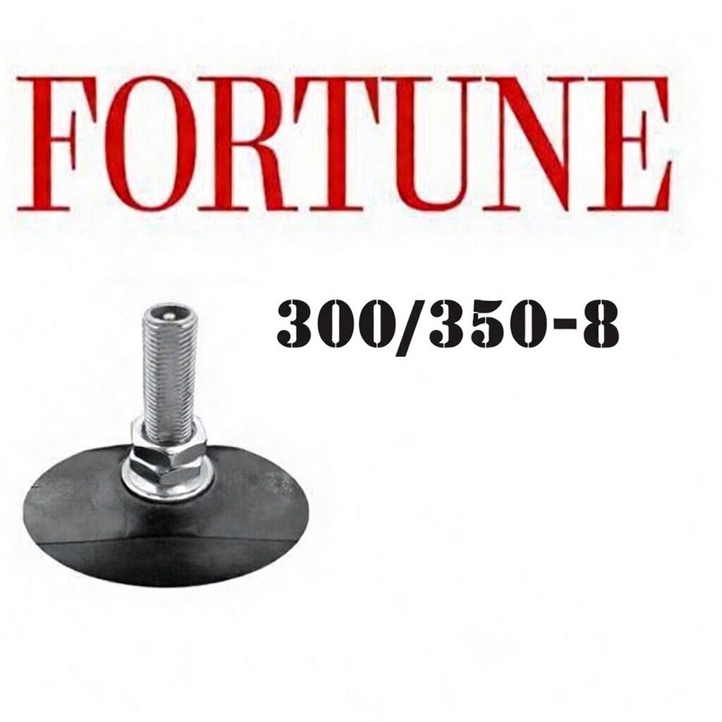 Tubo R8 300/350-8 Fortune