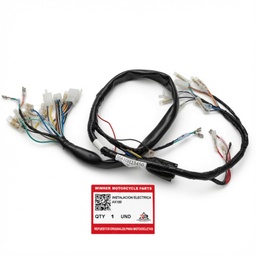 [M-3821] Instalacion Electrica Suzuki Ax100 Winner